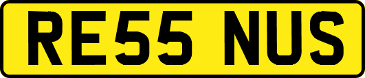 RE55NUS