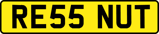 RE55NUT