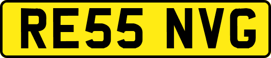 RE55NVG