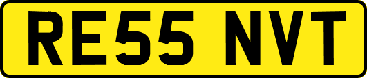 RE55NVT