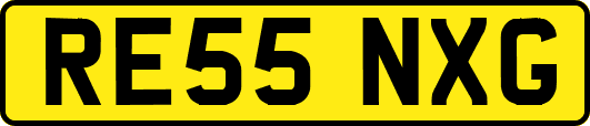RE55NXG
