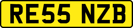 RE55NZB