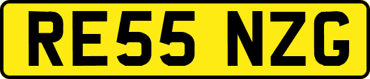 RE55NZG