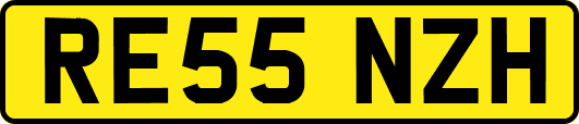 RE55NZH
