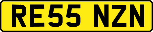 RE55NZN