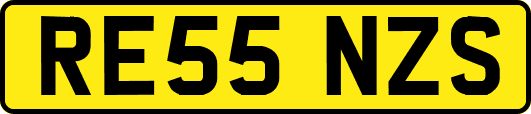 RE55NZS