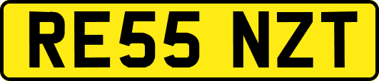 RE55NZT