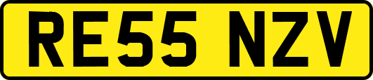 RE55NZV