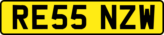RE55NZW