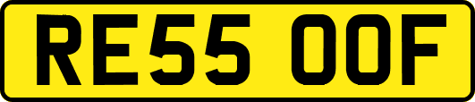 RE55OOF