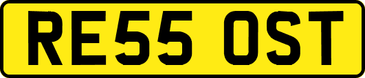 RE55OST