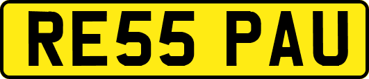 RE55PAU