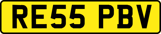RE55PBV