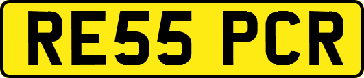 RE55PCR