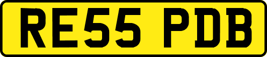 RE55PDB