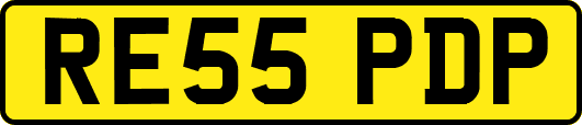 RE55PDP
