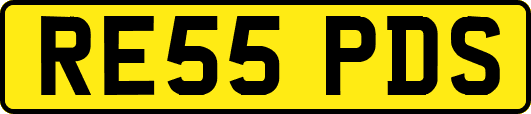 RE55PDS