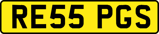 RE55PGS