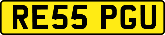 RE55PGU