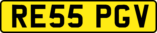 RE55PGV