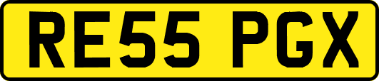 RE55PGX