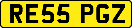 RE55PGZ