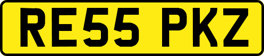RE55PKZ