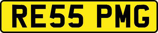 RE55PMG