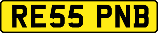 RE55PNB