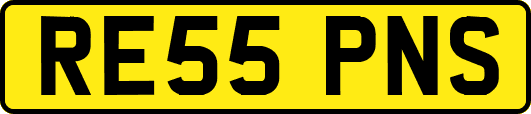 RE55PNS