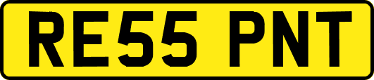 RE55PNT