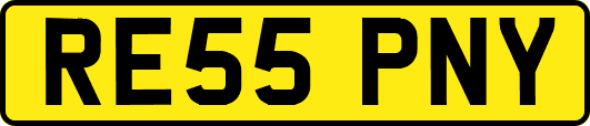 RE55PNY