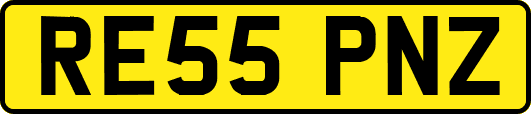 RE55PNZ