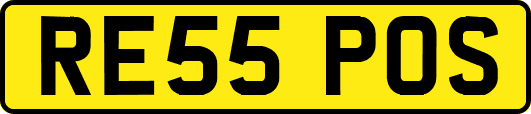 RE55POS