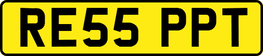 RE55PPT
