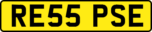 RE55PSE
