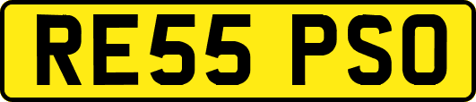 RE55PSO