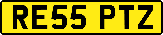 RE55PTZ