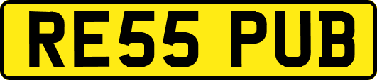 RE55PUB