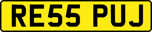 RE55PUJ