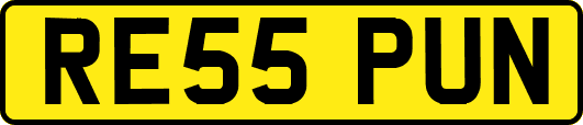 RE55PUN