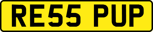 RE55PUP