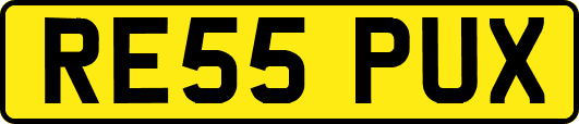 RE55PUX