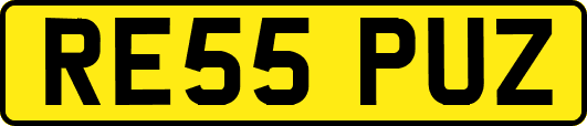 RE55PUZ
