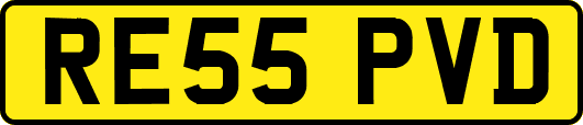 RE55PVD