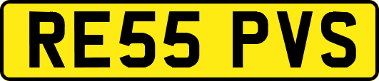 RE55PVS