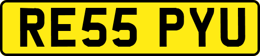 RE55PYU