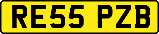 RE55PZB