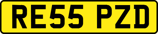 RE55PZD