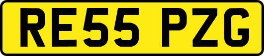 RE55PZG